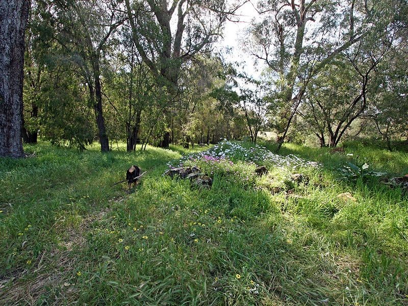 44 Peppermint Drive, Lake Clifton WA 6215