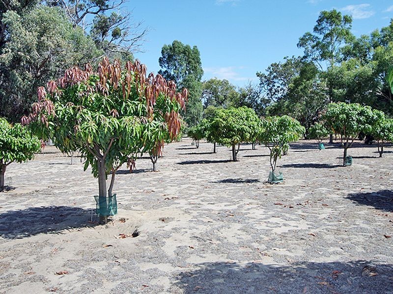 131 Clifton Downs Road, Herron WA 6211