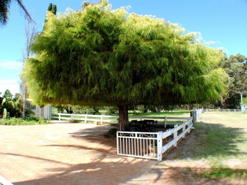 338 Newnham Road, Lake Clifton WA 6215