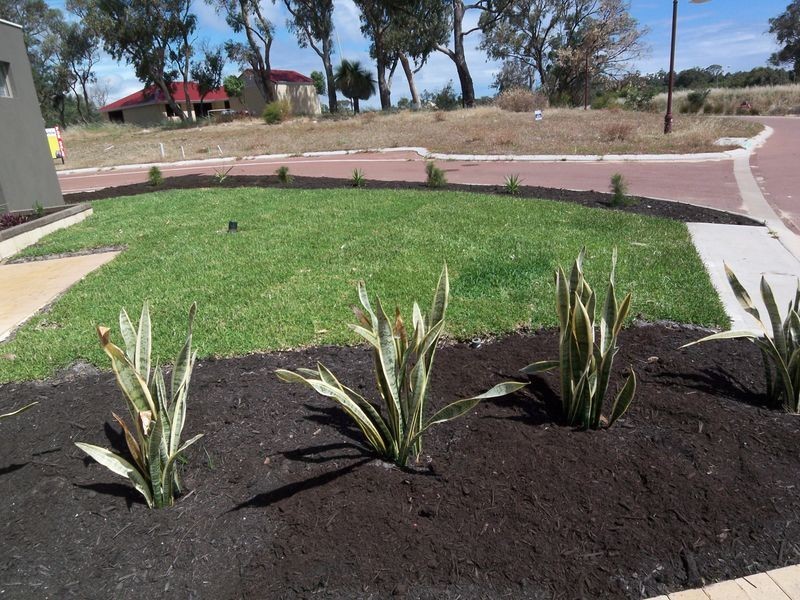 1 Lily Court, Dawesville WA 6211