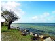 10 Beagle Court, Falcon WA 6210