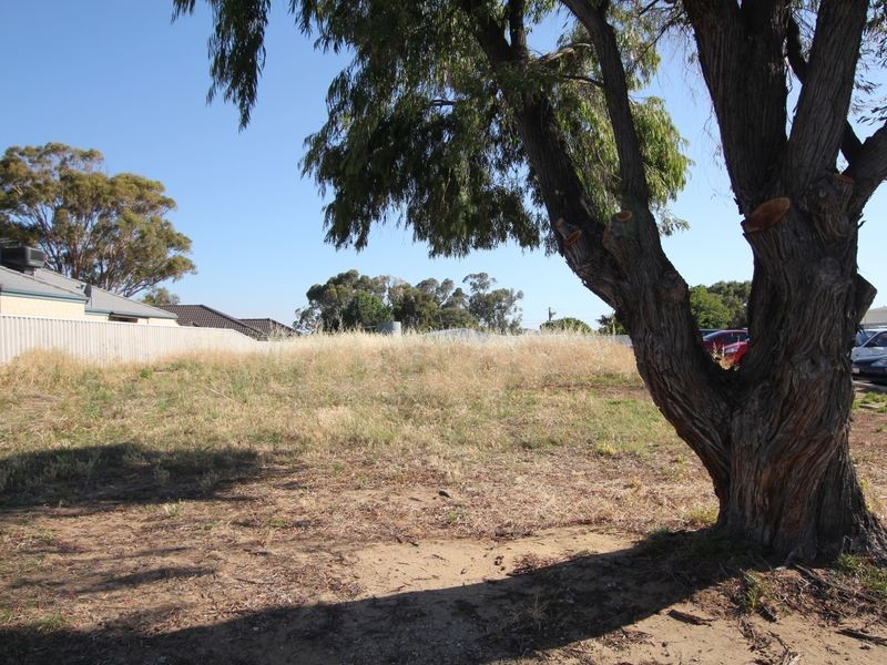 25 Boundary Road, Dudley Park WA 6210