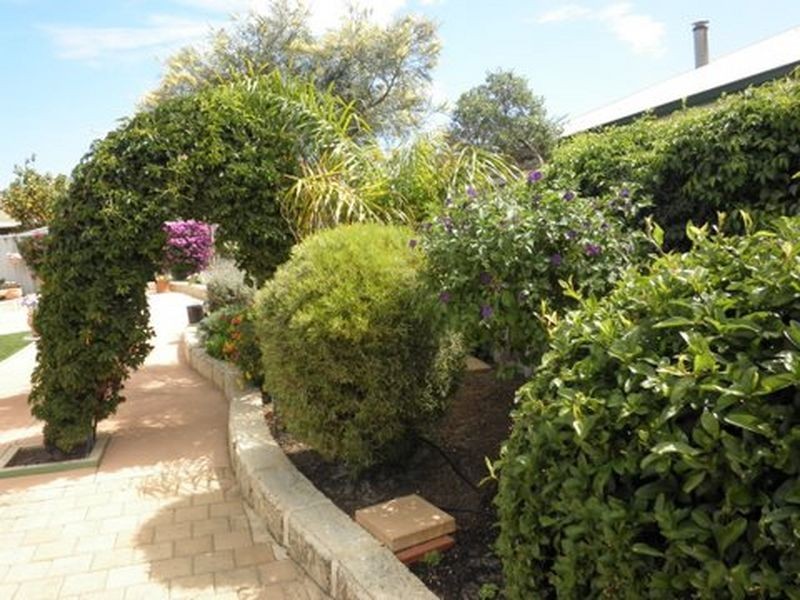 19 Floribunda Avenue, Halls Head WA 6210