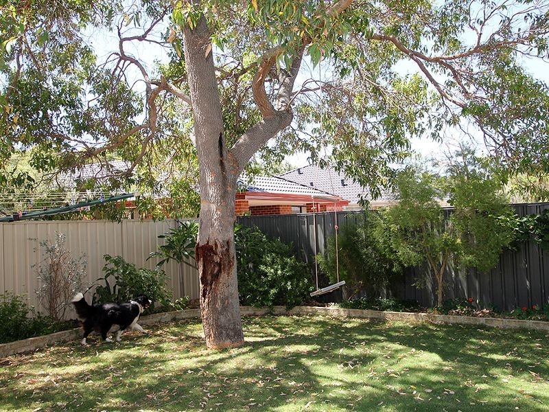 13 Sandalwood Close, Falcon WA 6210