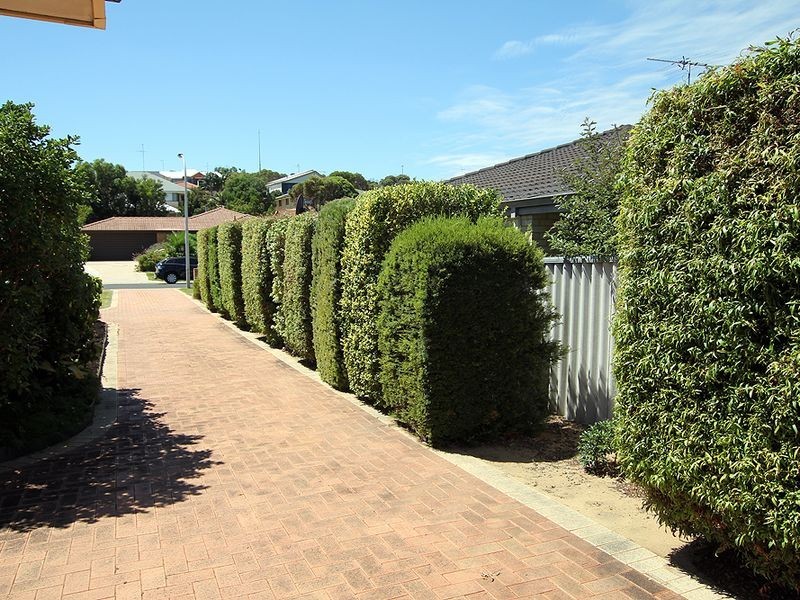 2/19 Tamarisk Drive, Halls Head WA 6210