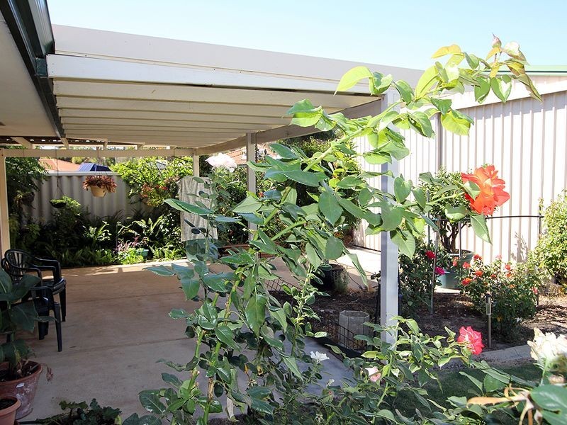 19 Windsor Way, Falcon WA 6210