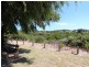 25 Wilkins Street, Halls Head WA 6210