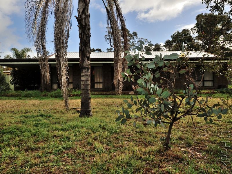 101 Tuart Grove Avenue, Lake Clifton WA 6215