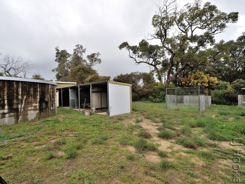 101 Tuart Grove Avenue, Lake Clifton WA 6215