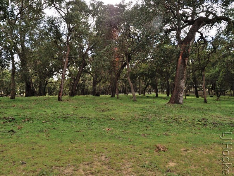 101 Tuart Grove Avenue, Lake Clifton WA 6215