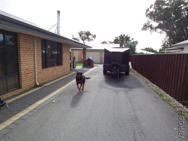 11 Riverina Avenue, Coodanup WA 6210