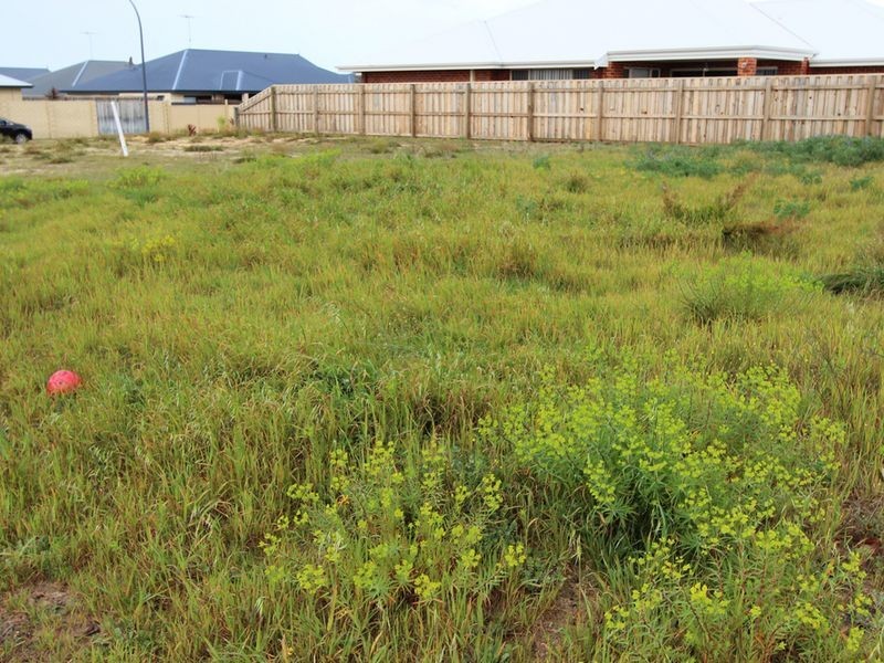 54 Carissa Turn, Halls Head WA 6210