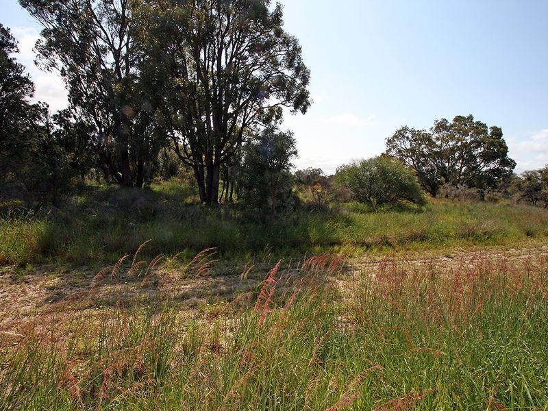 4/15 Nerrena Court, Greenfields WA 6210