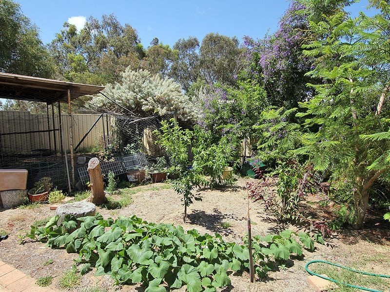 73 Culeenup Road, North Yunderup WA 6208