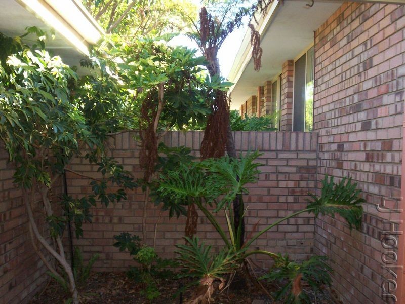 2/15 Newstead Close, Halls Head WA 6210