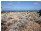 112 Boardwalk Boulevard, Halls Head WA 6210