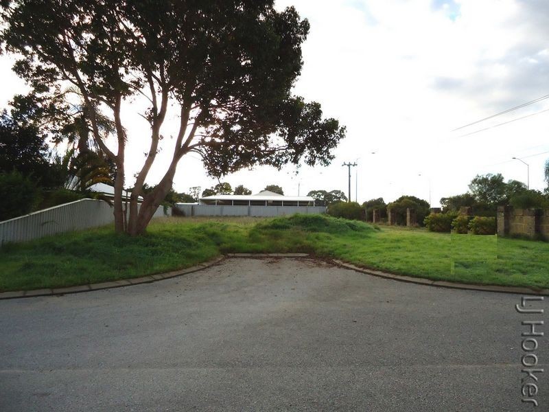 6 Castilloa Court, Halls Head WA 6210