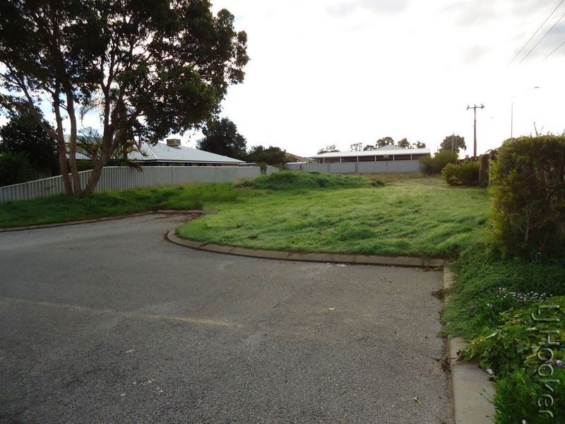 6 Castilloa Court, Halls Head WA 6210