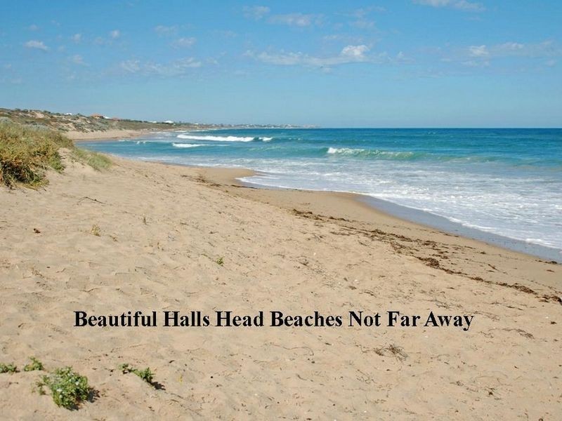 6 Castilloa Court, Halls Head WA 6210