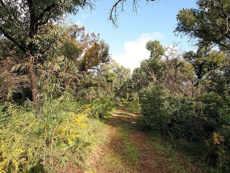 41 Stacey Rise, Lake Clifton WA 6215