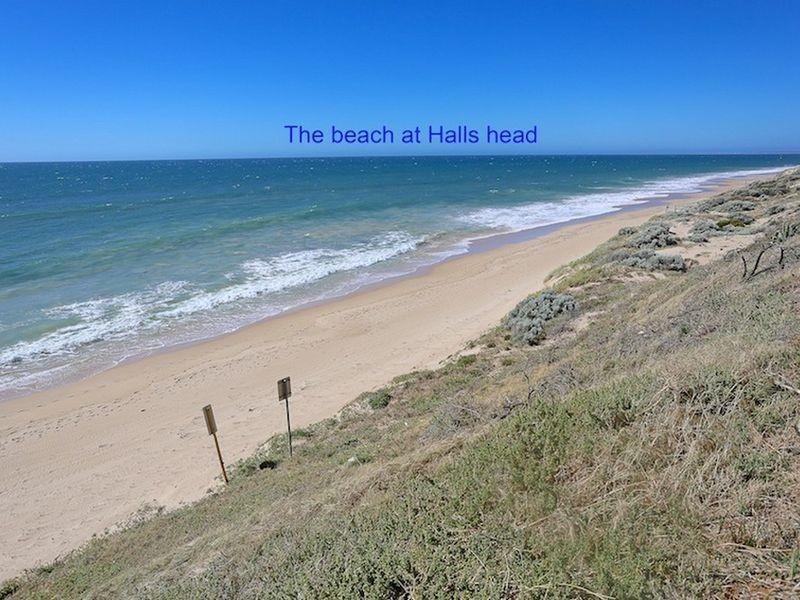 11 Columbia Close, Halls Head WA 6210