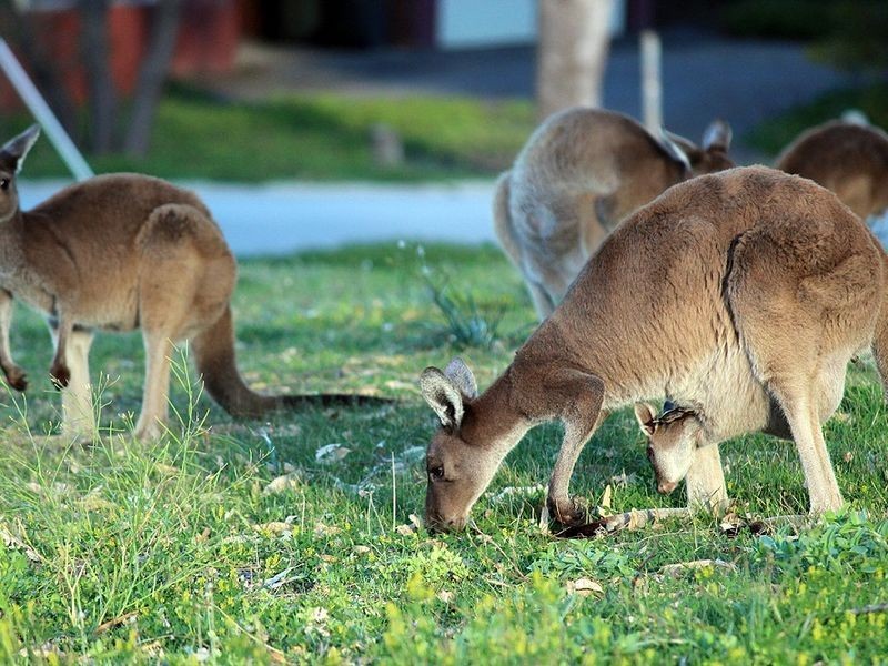 14 Bay View Crescent, Dawesville WA 6211