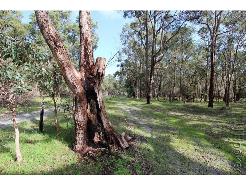 Lot 113/175 Tuart Grove Avenue, Lake Clifton WA 6215