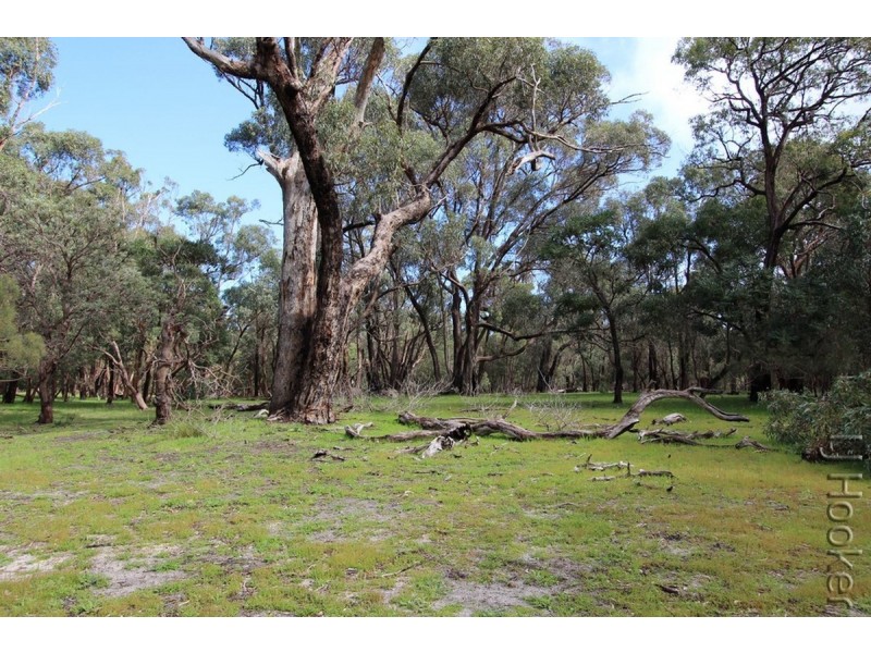 Lot 113/175 Tuart Grove Avenue, Lake Clifton WA 6215