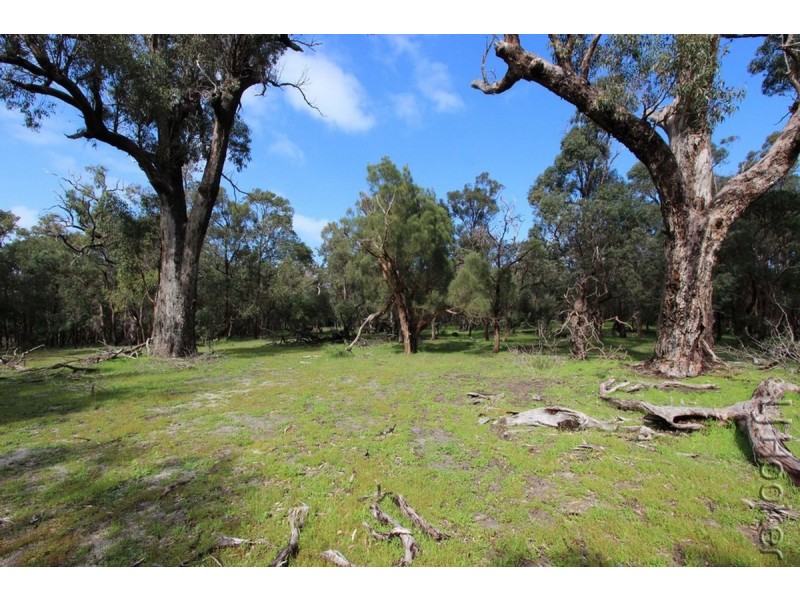 Lot 113/175 Tuart Grove Avenue, Lake Clifton WA 6215