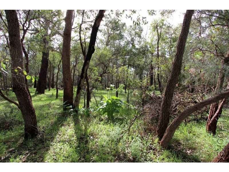 Lot 113/175 Tuart Grove Avenue, Lake Clifton WA 6215