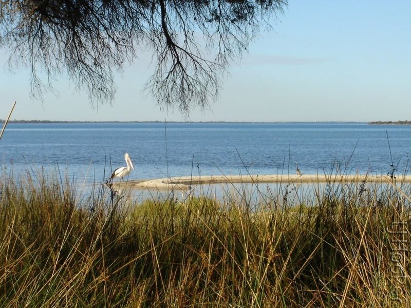 318 Estuary Road, Dawesville WA 6211