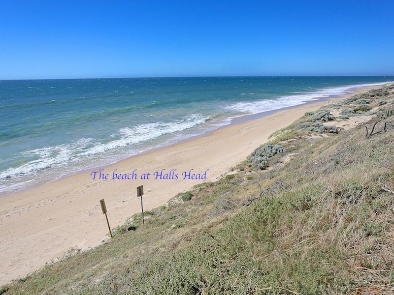 24 Peter Street, Halls Head WA 6210