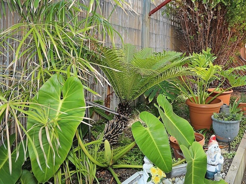 6/45-51 Sholl Street, Mandurah WA 6210