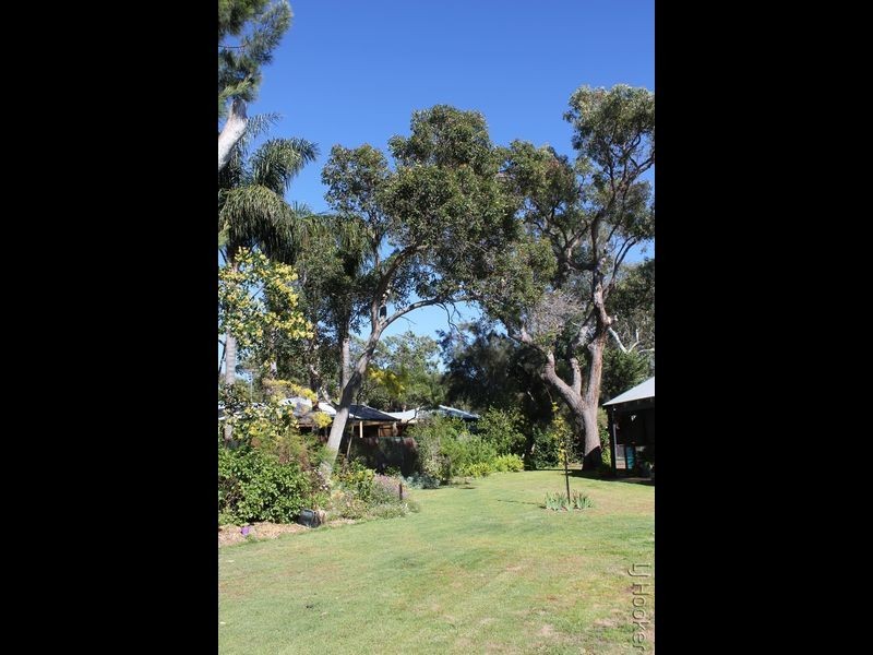 15 Nutbush Avenue, Falcon WA 6210