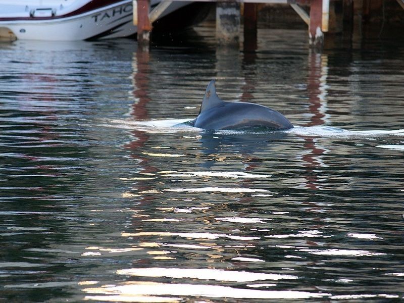 90 Avocet Island Quays, Wannanup WA 6210