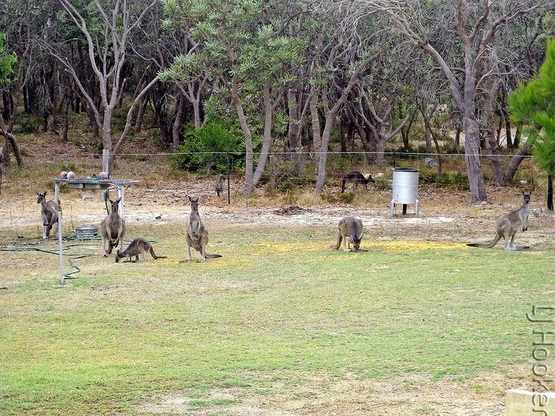 425 Mulga Drive East, Parklands WA 6180