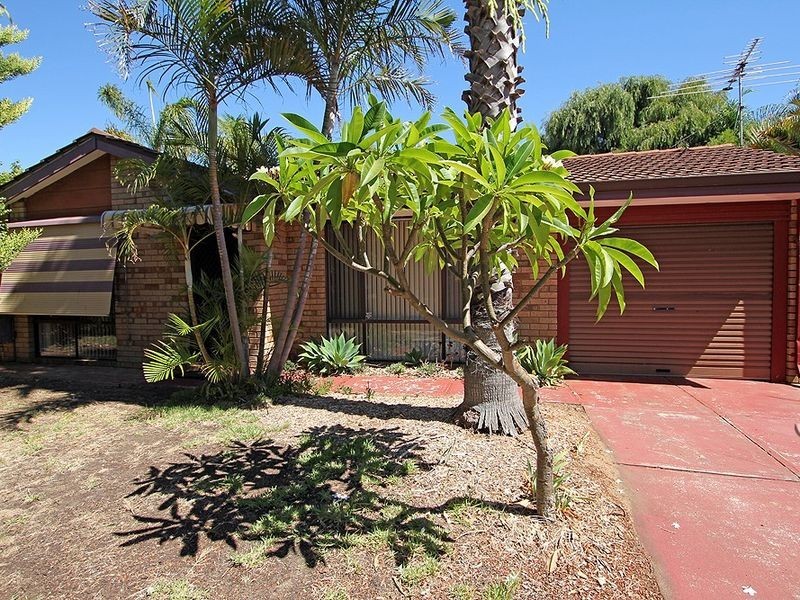 43 Peelwood Parade, Halls Head WA 6210