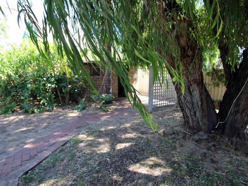 43 Peelwood Parade, Halls Head WA 6210