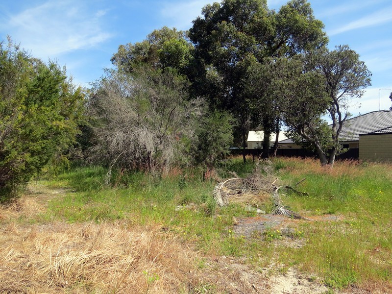 15 Carnegie Place, Greenfields WA 6210