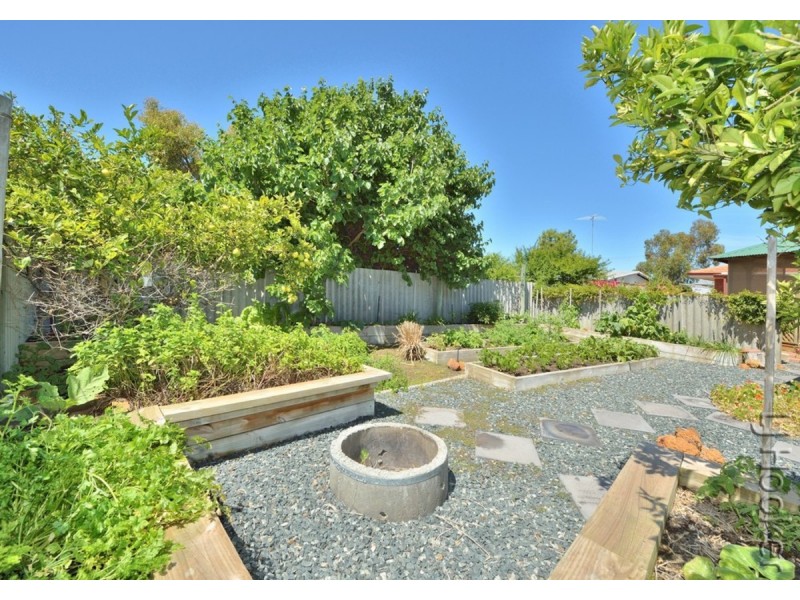 34 Thera Street, Falcon WA 6210