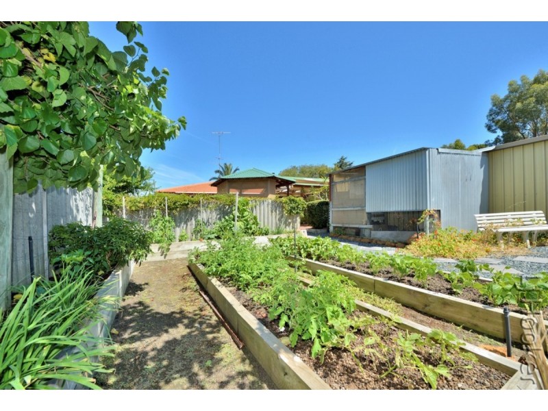 34 Thera Street, Falcon WA 6210