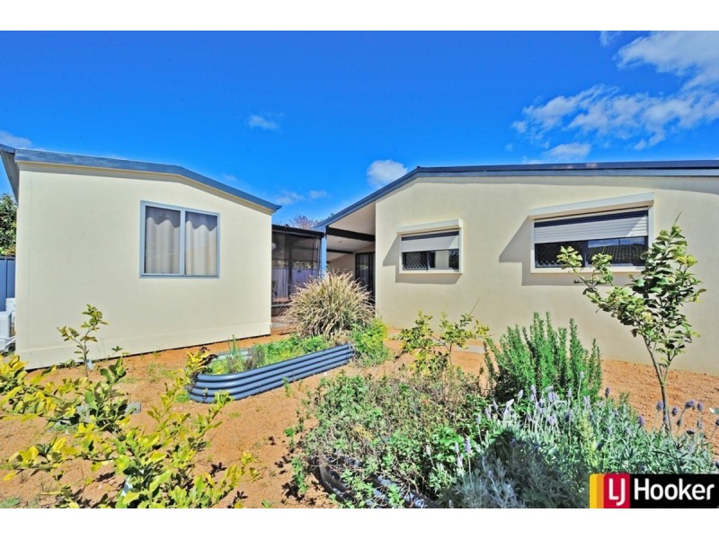 18 Lynx Place, Rockingham WA 6168