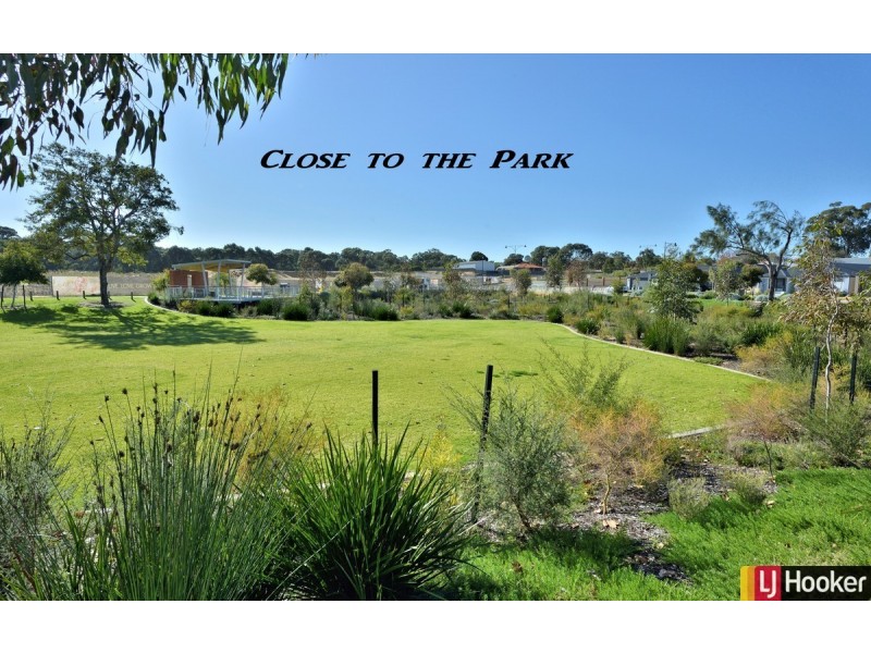 12 Peto Close, Baldivis WA 6171