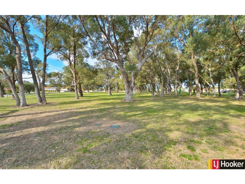 56 Waldron Boulevard, Greenfields WA 6210