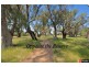 40 Chatsworth Drive, Erskine WA 6210