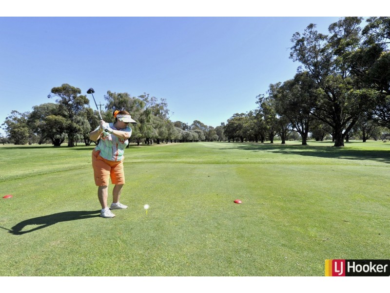 16 Haven Place, Pinjarra WA 6208