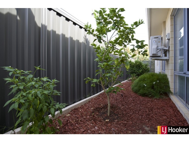 34 Whimbrel Crescent, Coodanup WA 6210