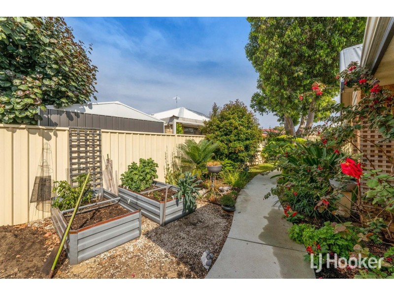 20 Zamia Loop, Wannanup WA 6210