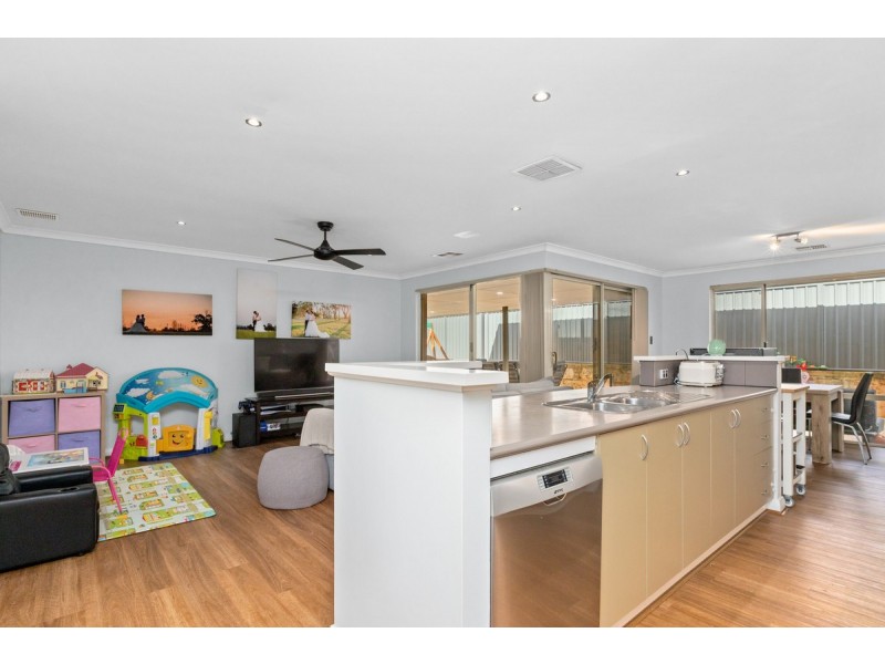 16 Borealis Drive, Baldivis WA 6171