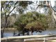 16 Redcliffe Road, Greenfields WA 6210
